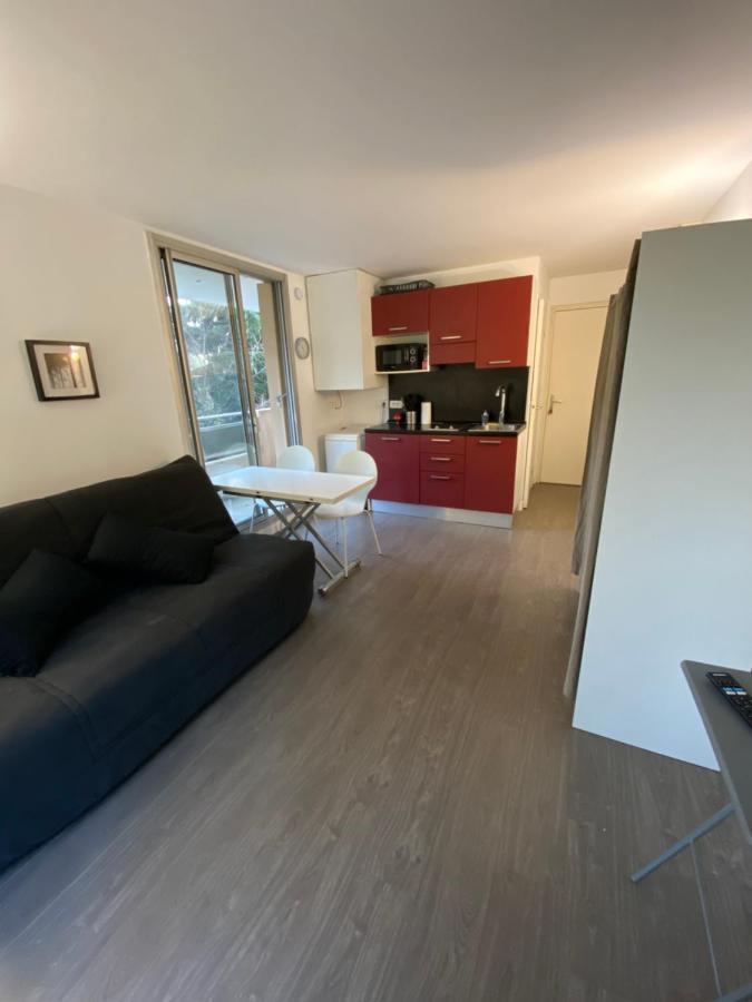 Studio Avec Terrasse, Vue Sur Jardin Διαμέρισμα Νίκαια Εξωτερικό φωτογραφία
